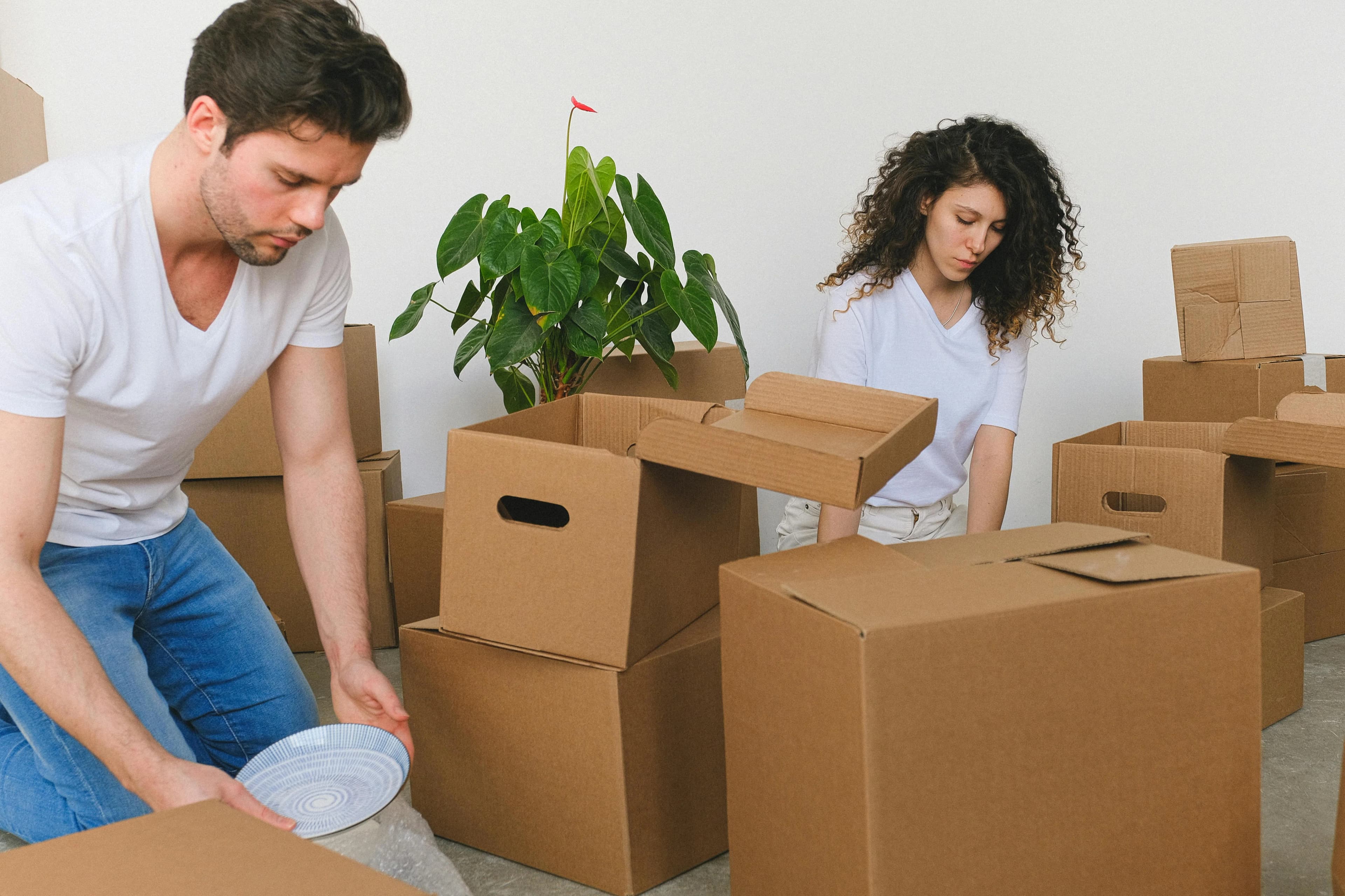 Packing and Unpacking Service